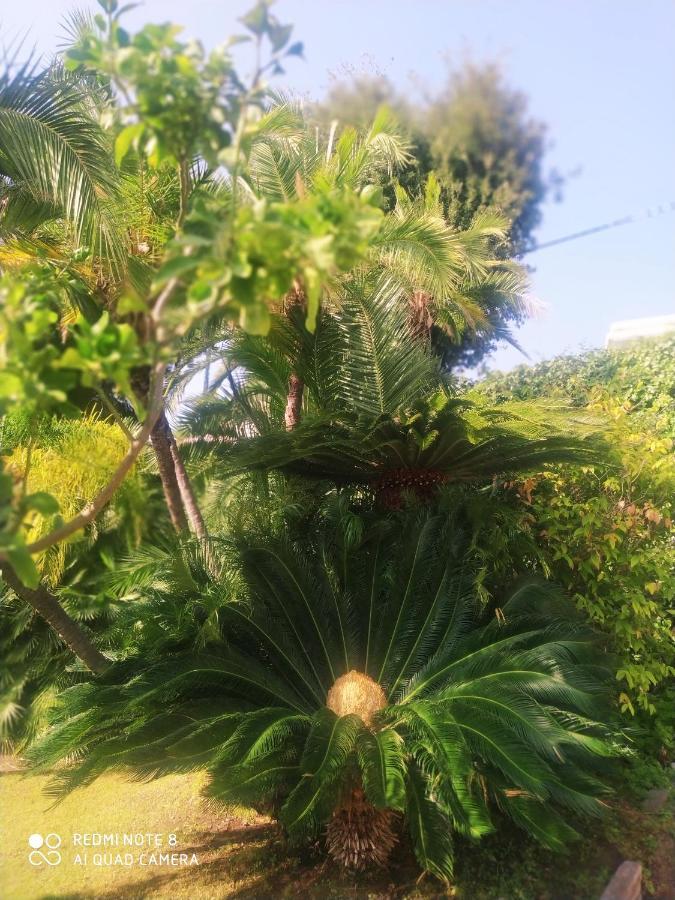 Pergolato Suite Sanremo Dış mekan fotoğraf