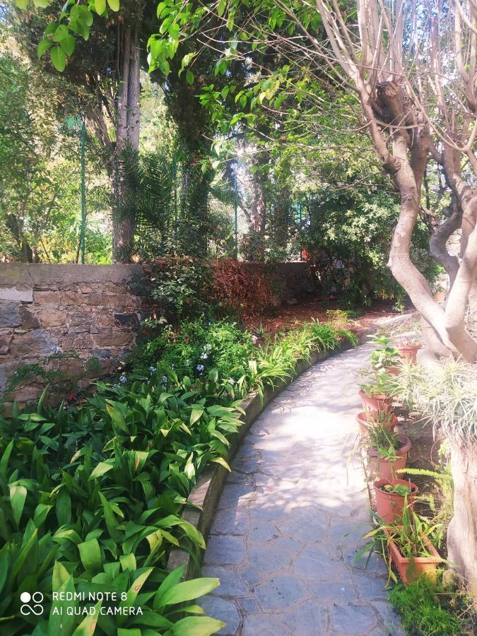 Pergolato Suite Sanremo Dış mekan fotoğraf