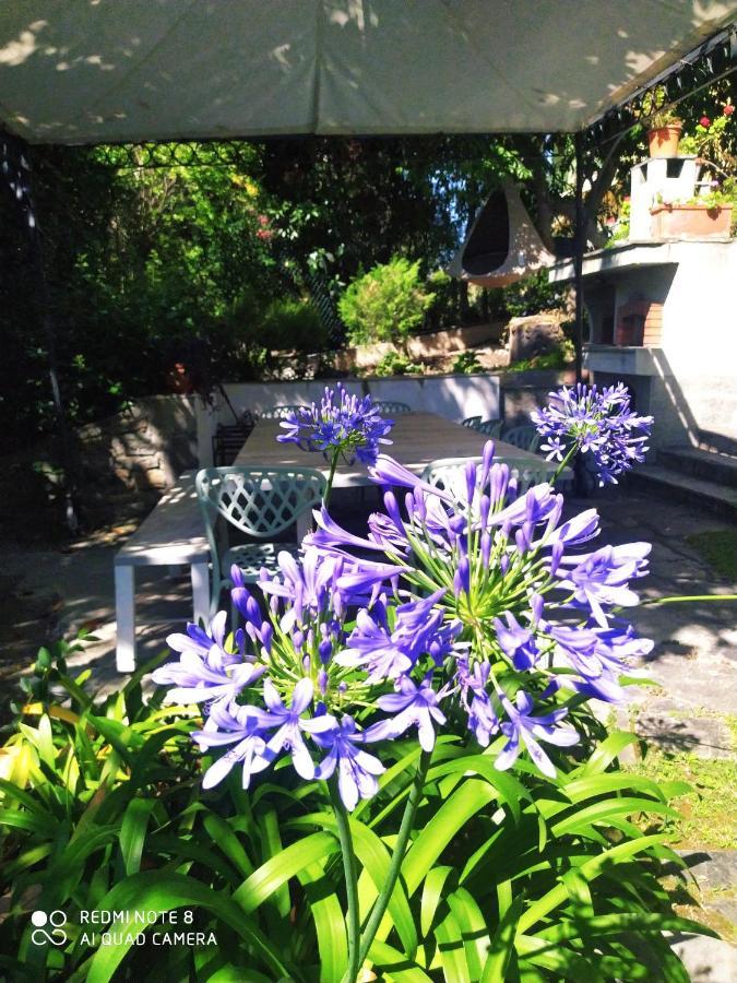 Pergolato Suite Sanremo Dış mekan fotoğraf